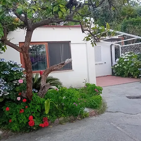 La Dracena Holiday home *