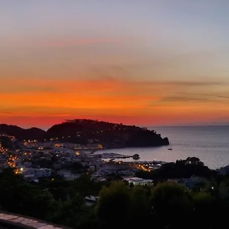 La Dracena * Ischia